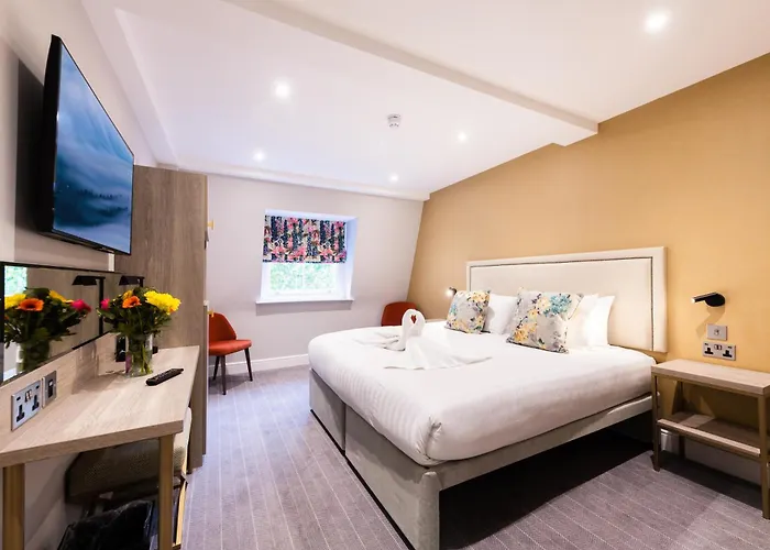 Hôtel accueillant les animaux: Byron Hotel
